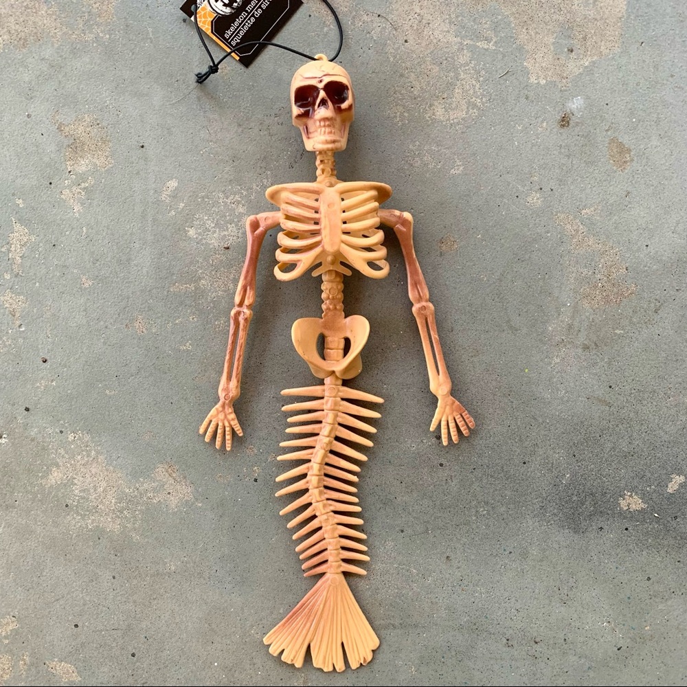 Mermaid Skeleton 💀